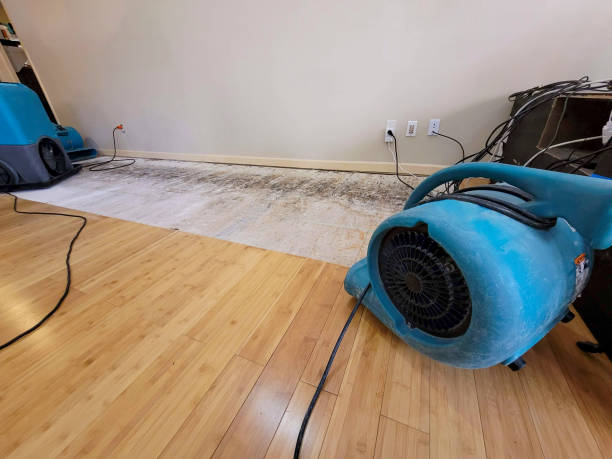 Professional Structural Drying technician working in Pingree, ND